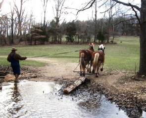Crossing the creek Crossing the creek