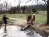 Crossing the creek